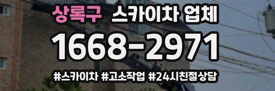상록구 스카이차 업체