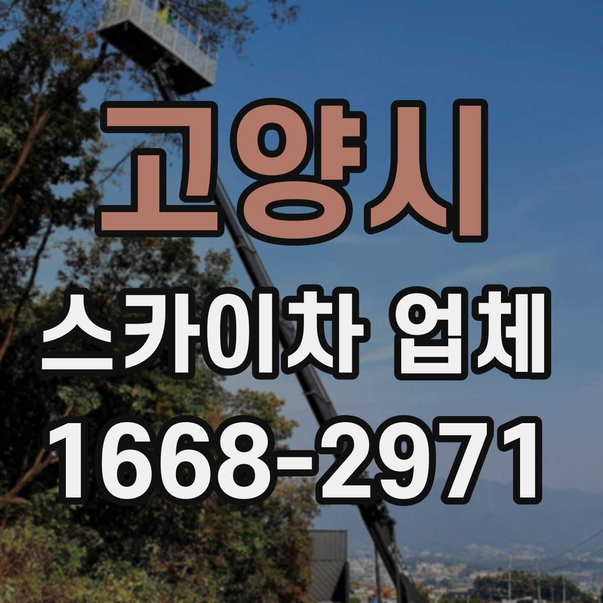 고양시 스카이차 업체