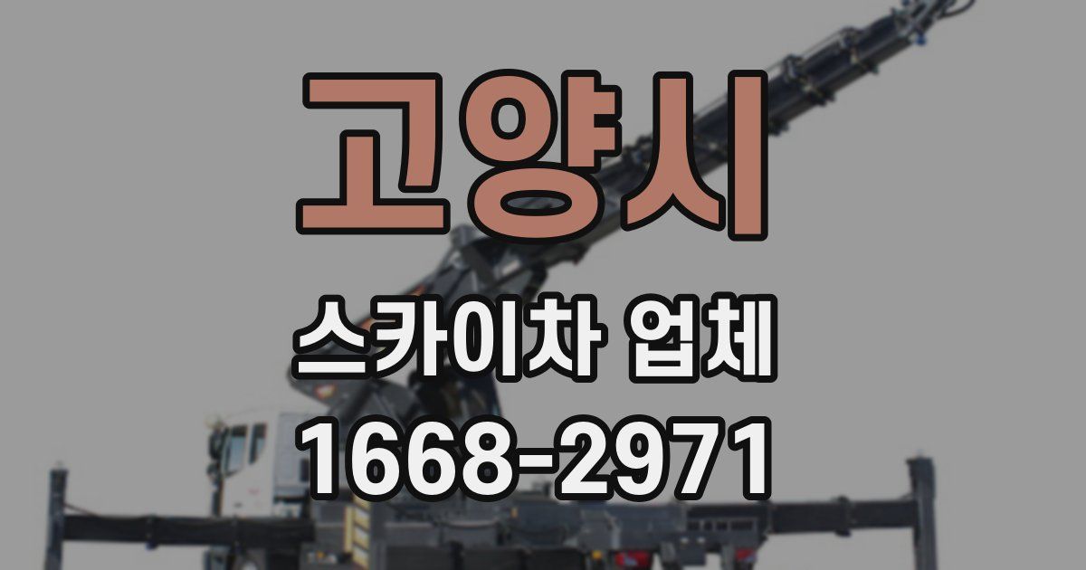 고양시 스카이차 업체