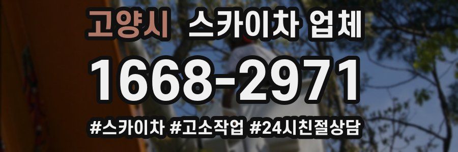 고양시 스카이차 업체