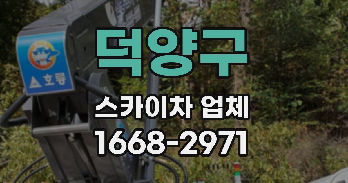 덕양구 스카이차 업체