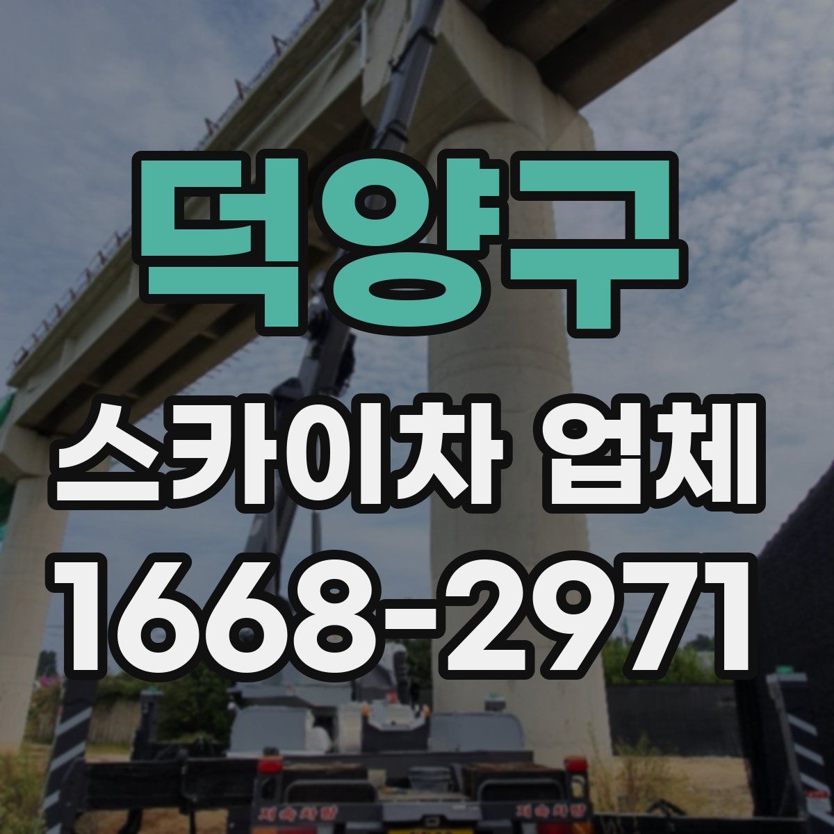 덕양구 스카이차 업체