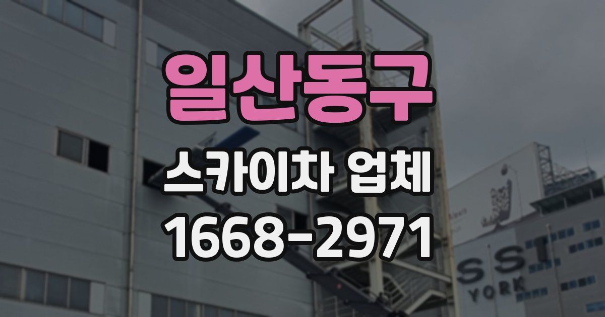 일산동구 스카이차 업체