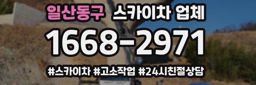 일산동구 스카이차 업체