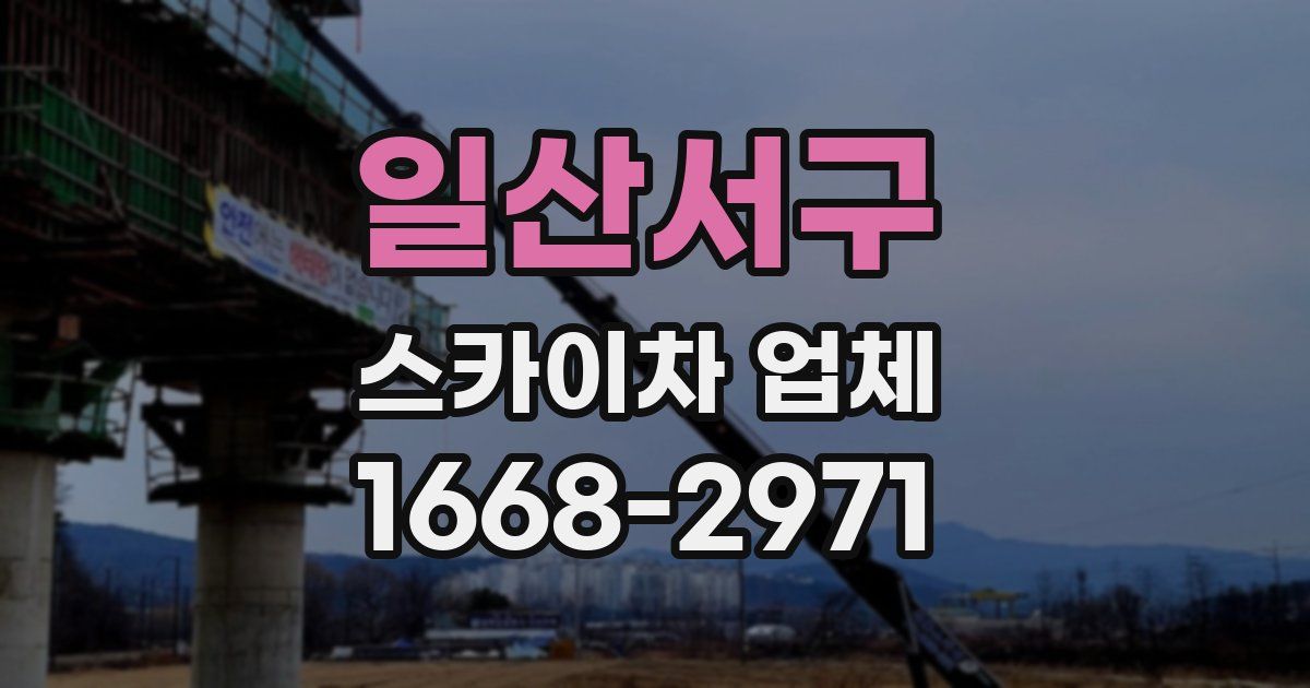 일산서구 스카이차 업체