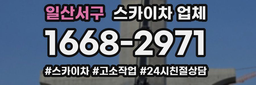 일산서구 스카이차 업체