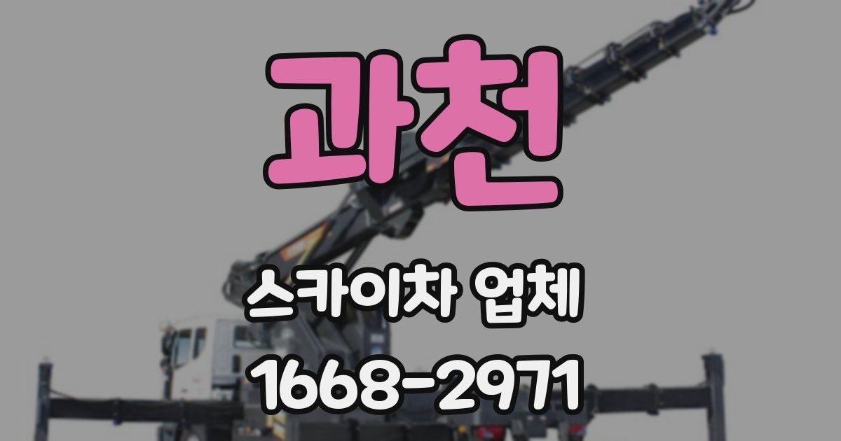 과천 스카이차 업체