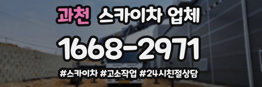 과천 스카이차 업체