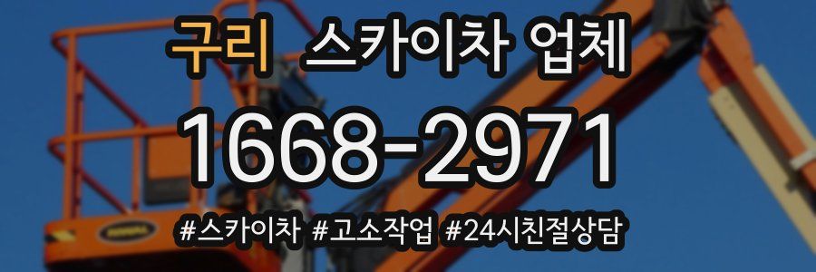 구리 스카이차 업체