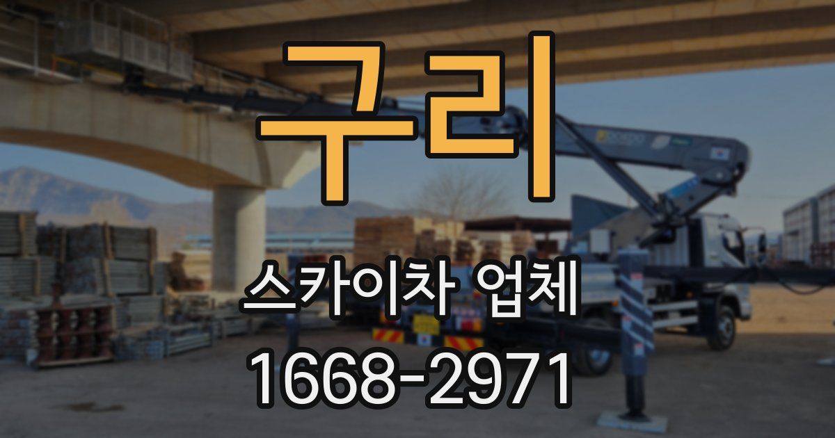 구리 스카이차 업체