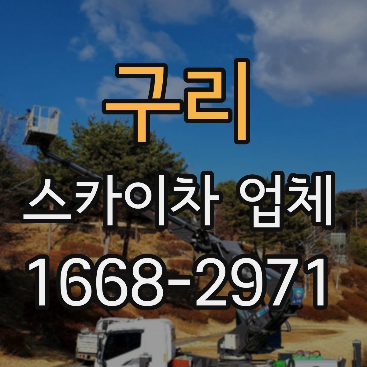 구리 스카이차 업체