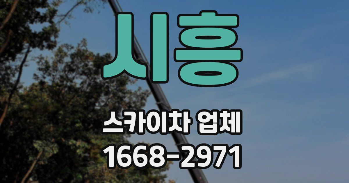 시흥 스카이차 업체