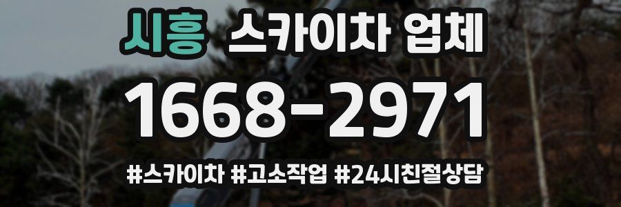 시흥 스카이차 업체