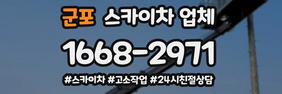 군포 스카이차 업체