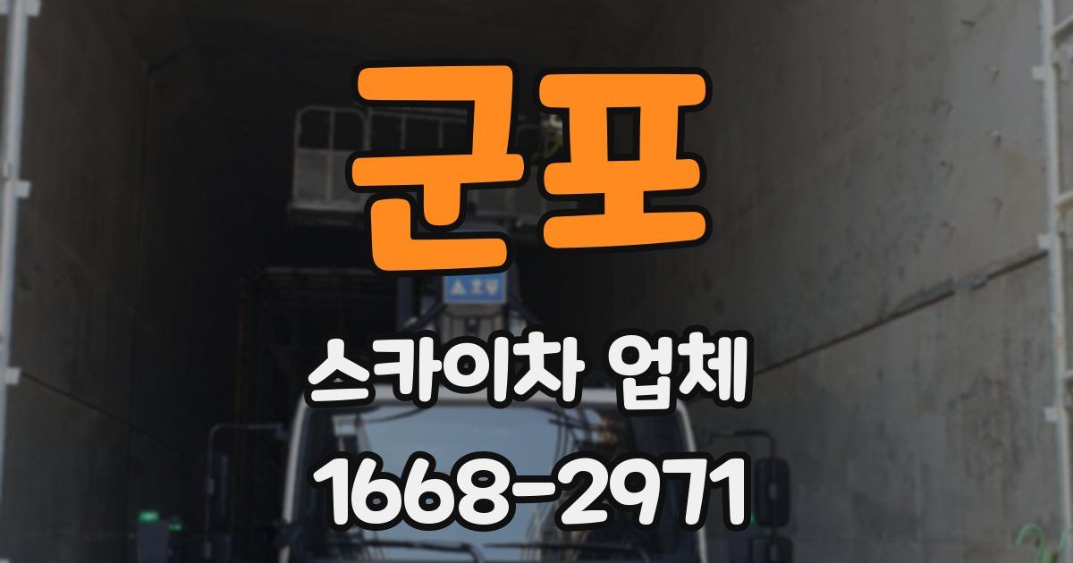 군포 스카이차 업체