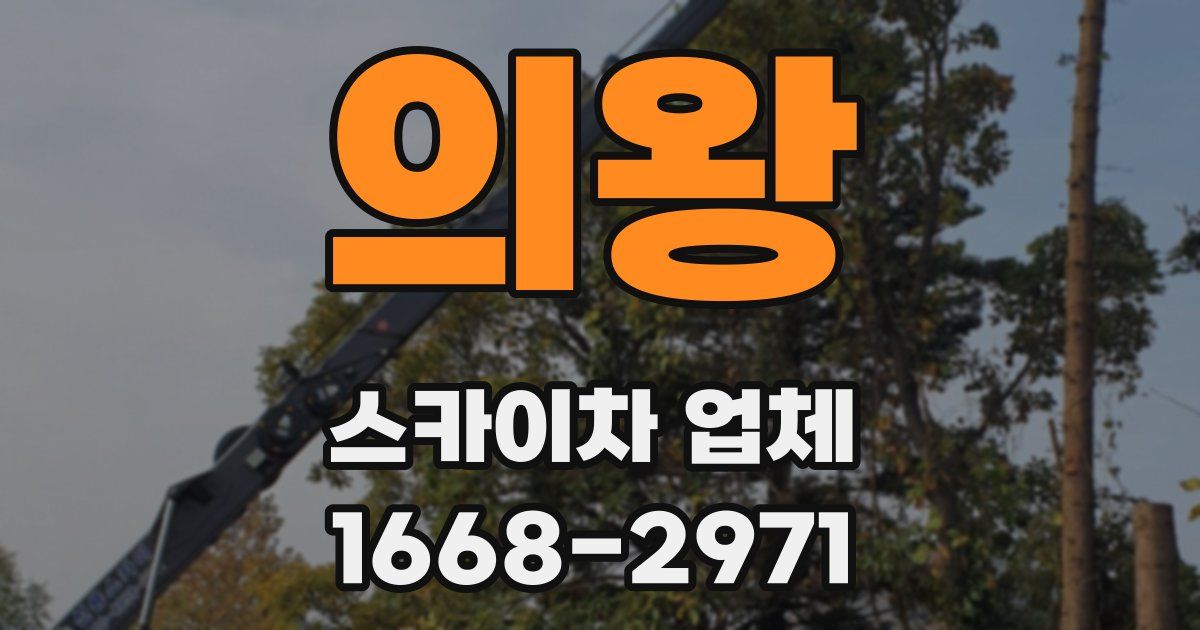 의왕 스카이차 업체