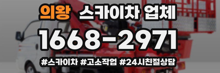 의왕 스카이차 업체