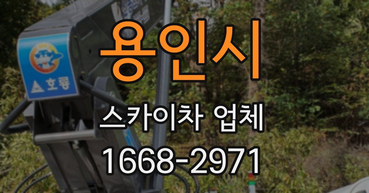 용인시 스카이차 업체