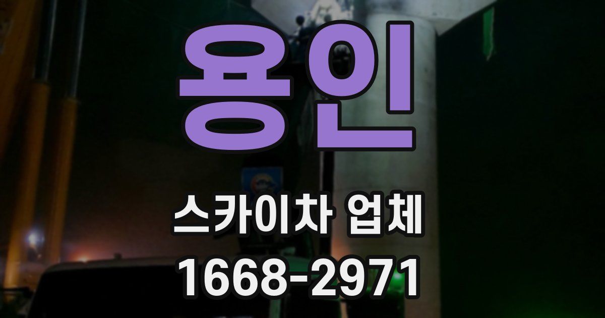 용인 스카이차 업체