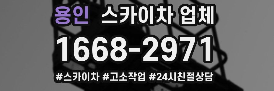용인 스카이차 업체