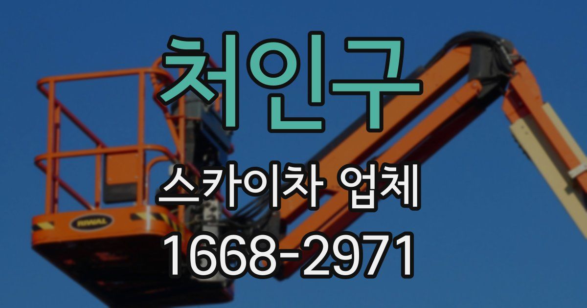 처인구 스카이차 업체