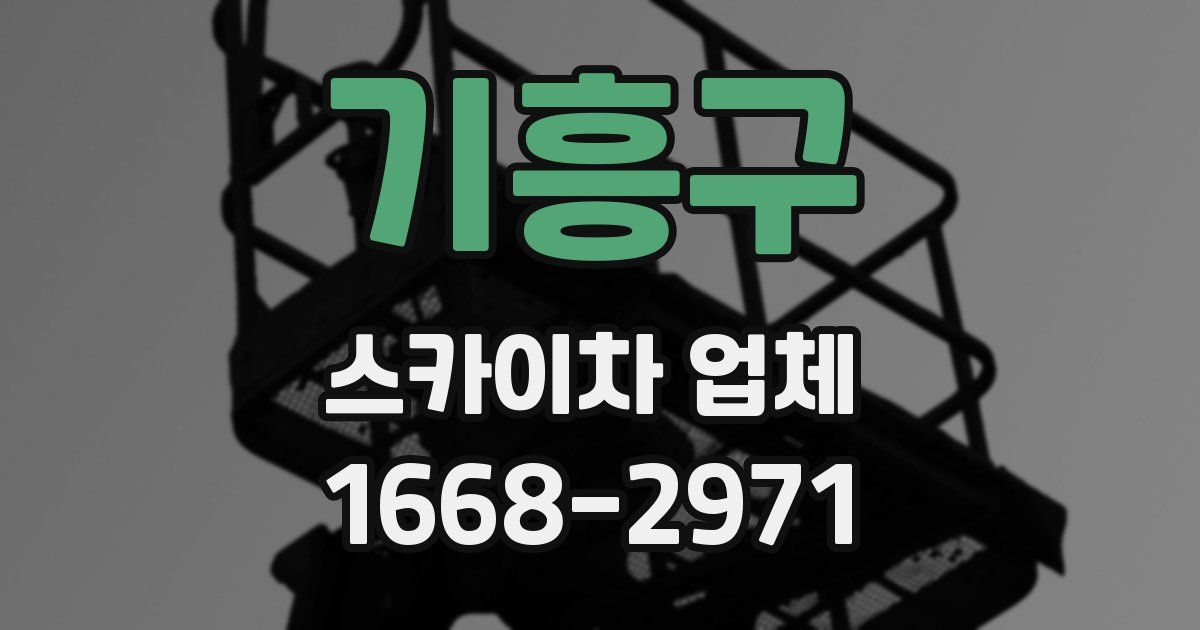 기흥구 스카이차 업체