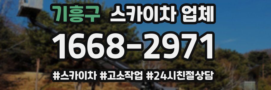 기흥구 스카이차 업체