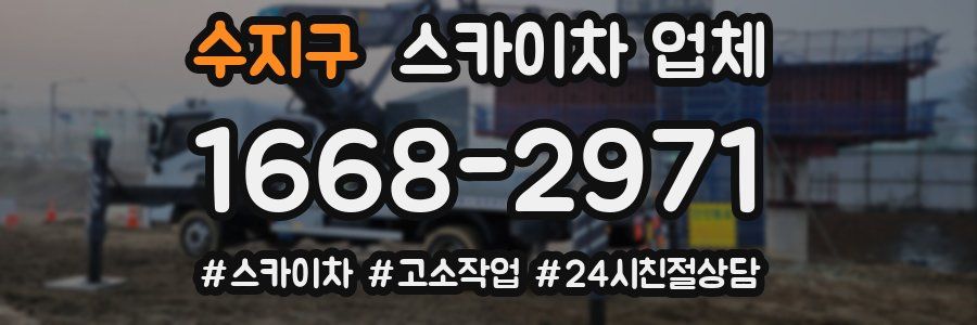 수지구 스카이차 업체