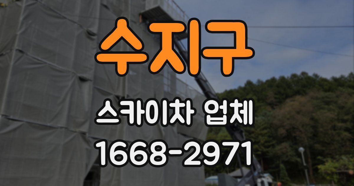 수지구 스카이차 업체