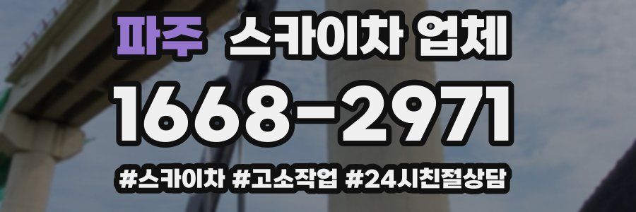 파주 스카이차 업체