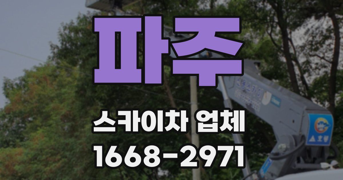 파주 스카이차 업체