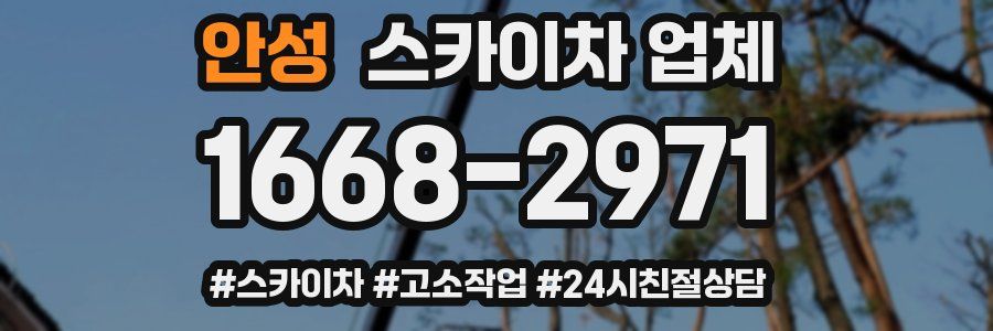 안성 스카이차 업체