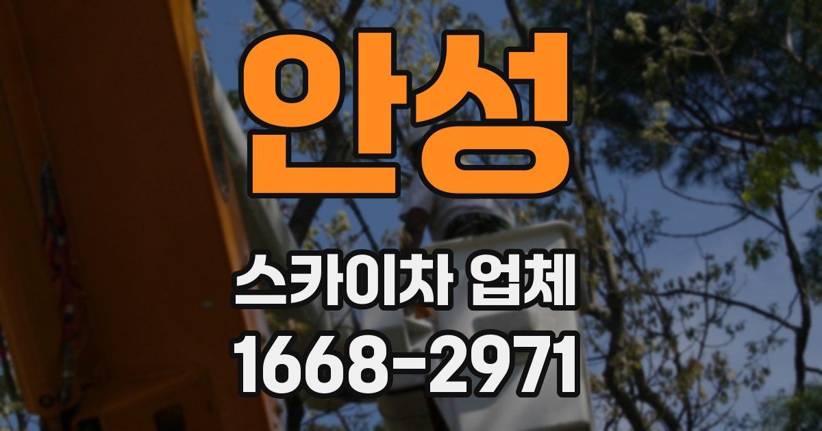 안성 스카이차 업체
