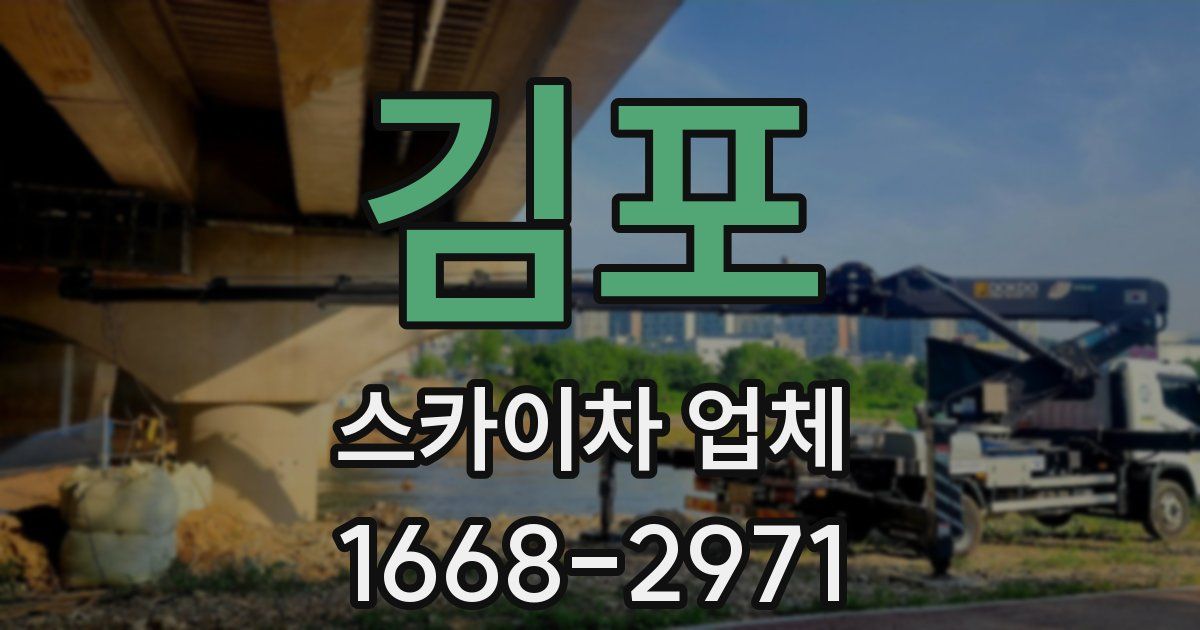 김포 스카이차 업체