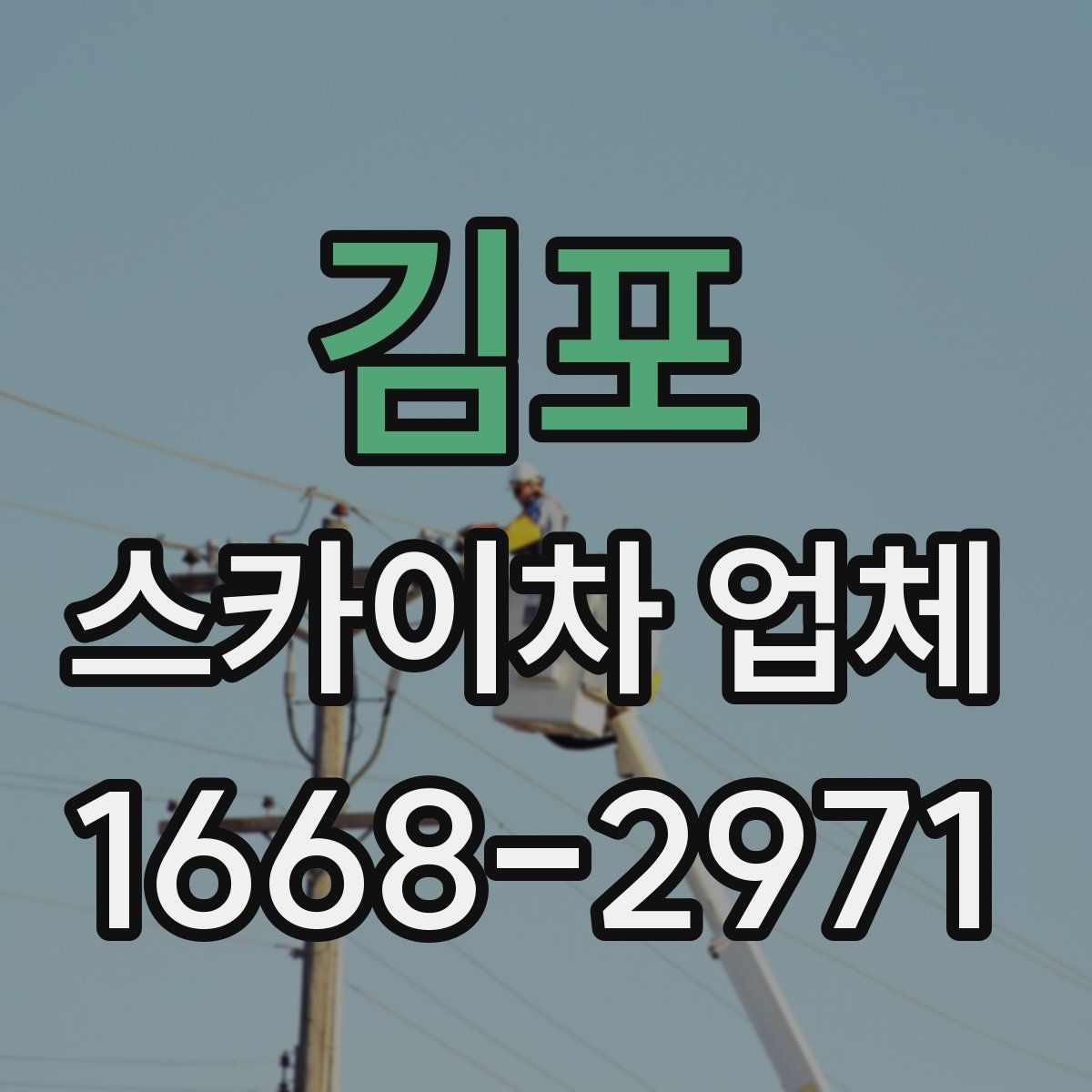 김포 스카이차 업체
