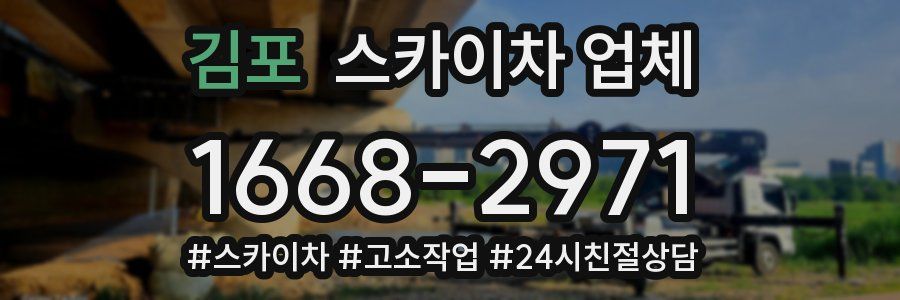 김포 스카이차 업체
