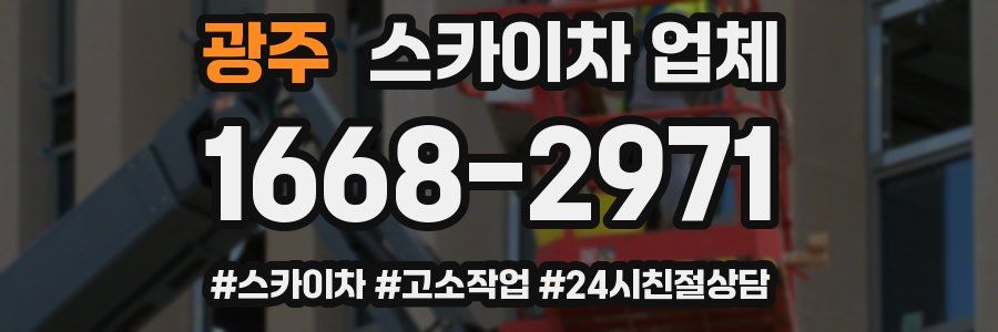 광주 스카이차 업체