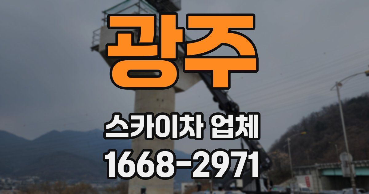 광주 스카이차 업체