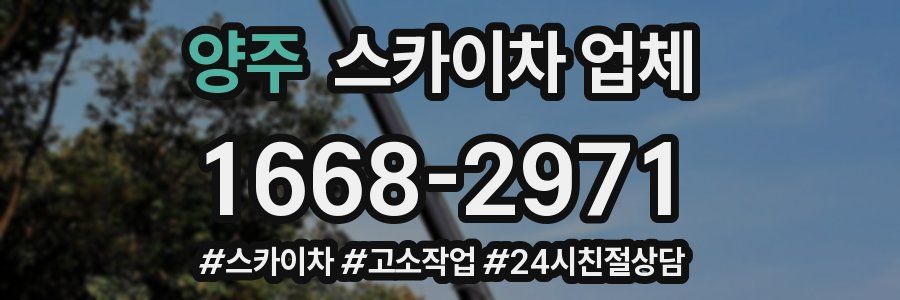 양주 스카이차 업체