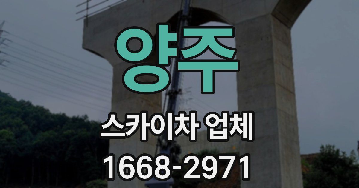 양주 스카이차 업체