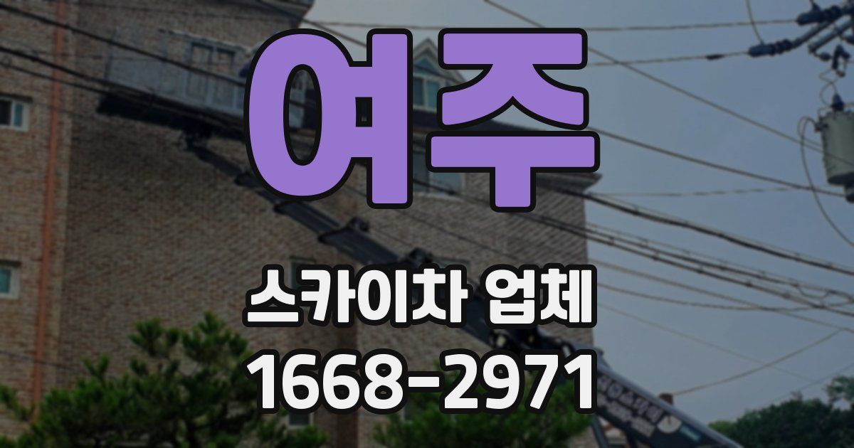 여주 스카이차 업체