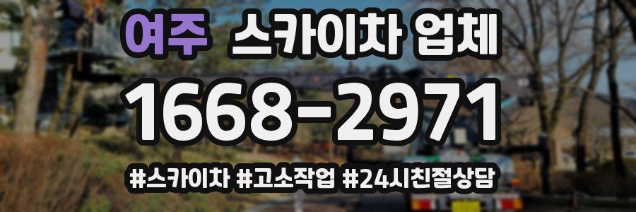 여주 스카이차 업체