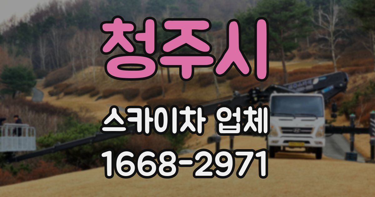 청주시 스카이차 업체