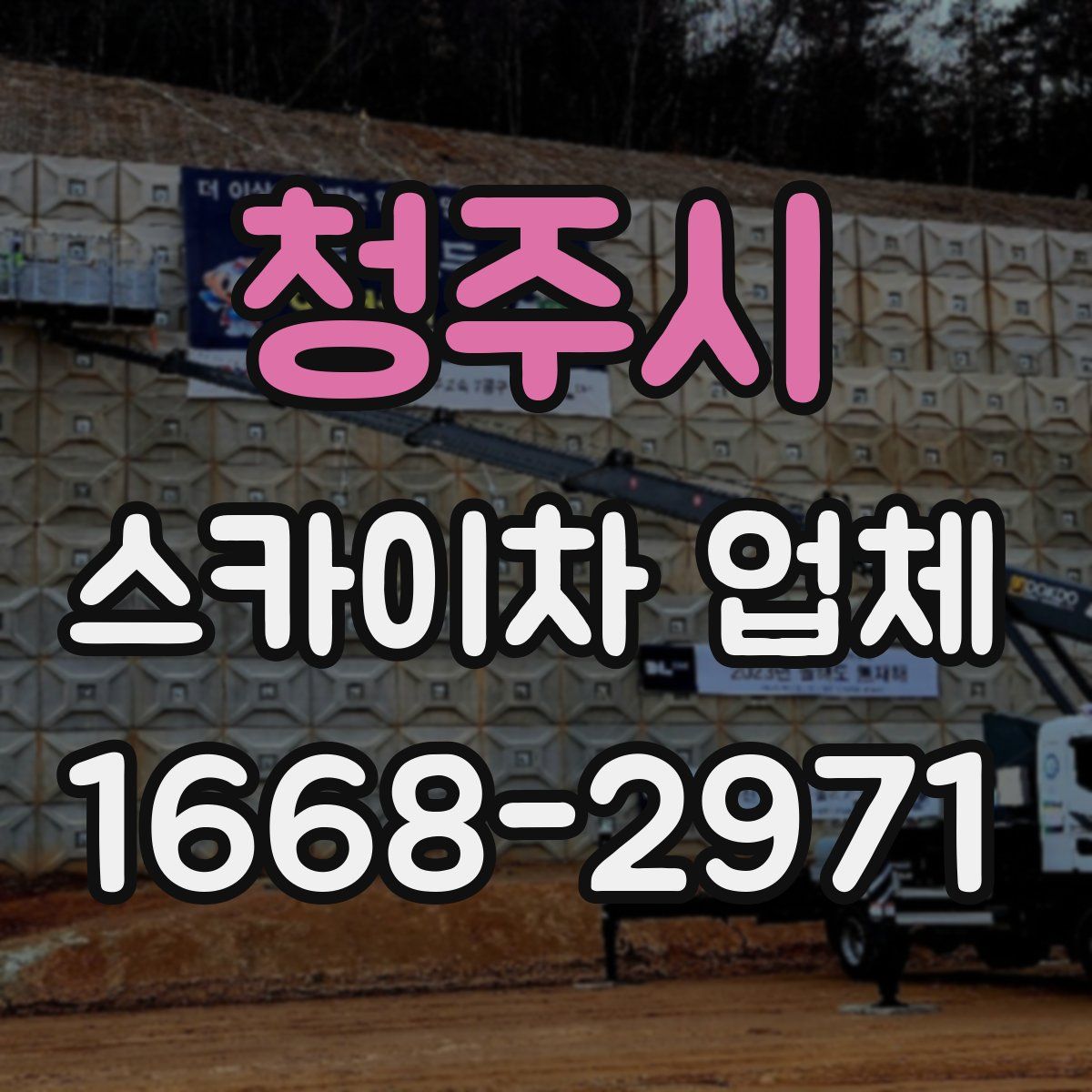 청주시 스카이차 업체