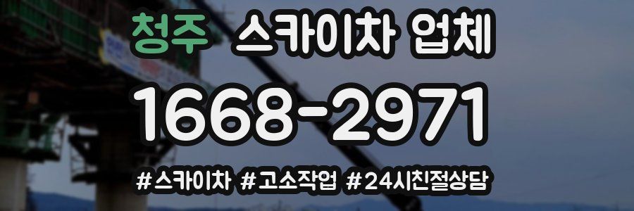 청주 스카이차 업체