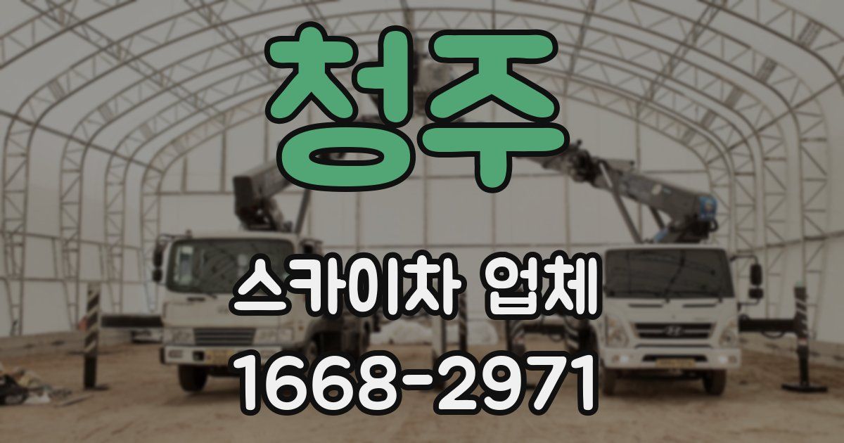 청주 스카이차 업체