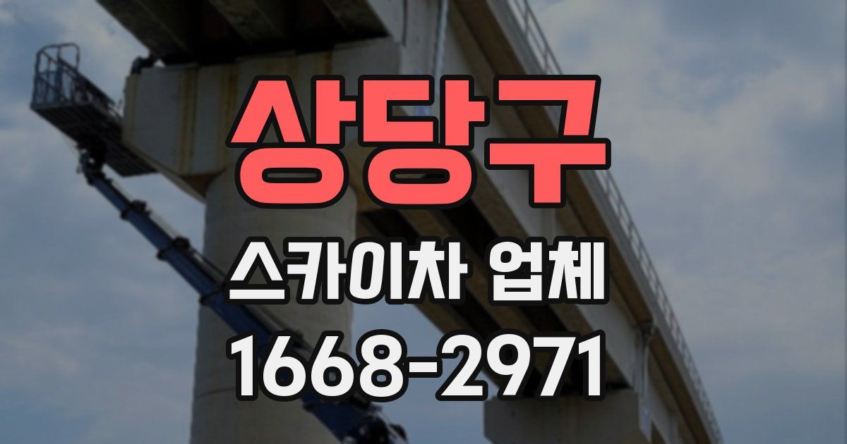 상당구 스카이차 업체