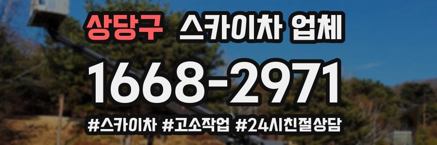 상당구 스카이차 업체