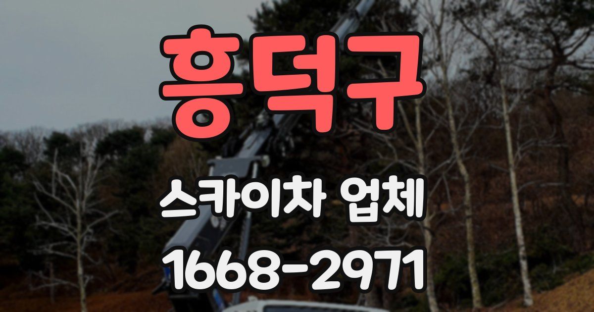 흥덕구 스카이차 업체