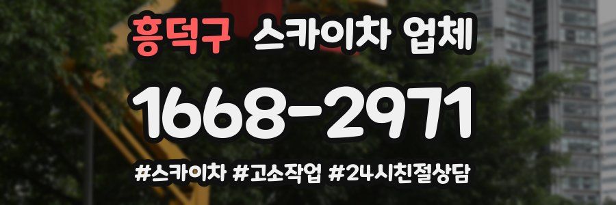 흥덕구 스카이차 업체